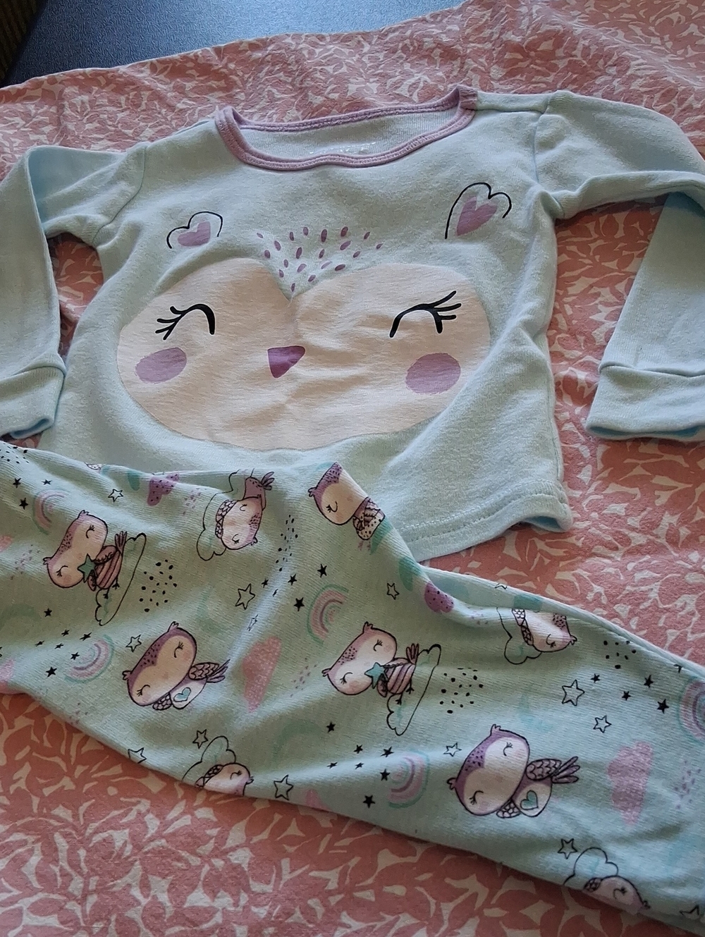 The Children's Place Mint and Pink Owl Pajama Set